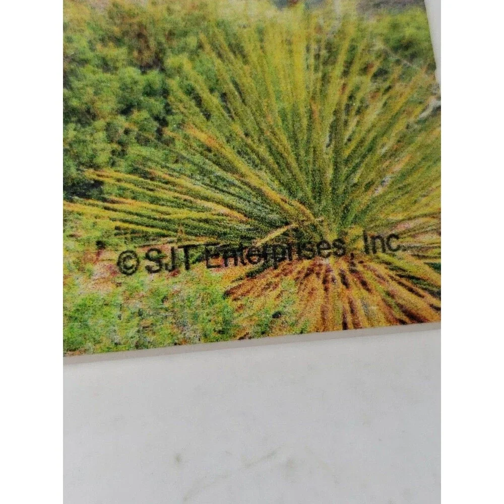 Zion National Park Absorbent Stone Coaster SJT Enterprises Cork Backed Utah